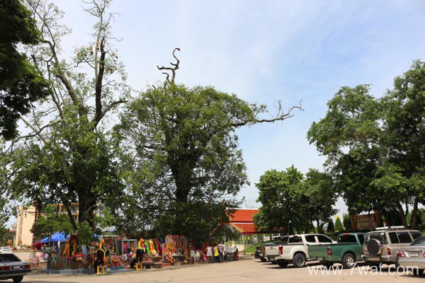 หลวงพ่อปาน วัดบางนมโค