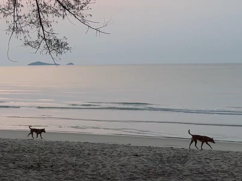 เที่ยวอุทยานแห่งชาติหาดวนกร