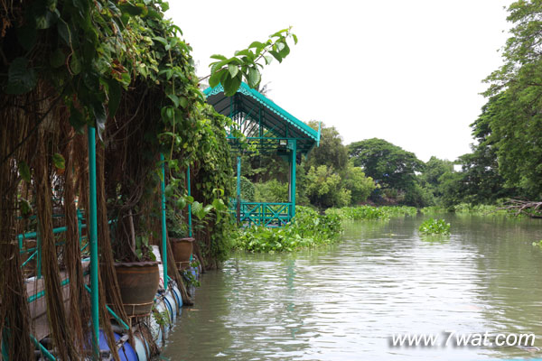 หลวงปู่ทิมวัดพระขาว