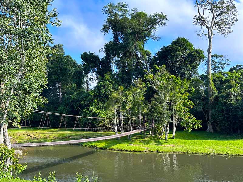 สะพานแขวนลำตะคองเขาใหญ่