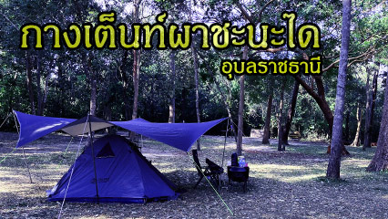 กางเต็นท์ผาชะนะได