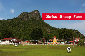 Swiss sheep farm