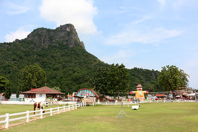 Swiss sheep farm