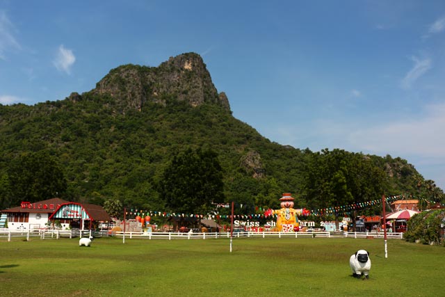 Swiss sheep farm